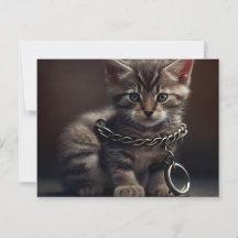 Postkarten Cat Gefaner