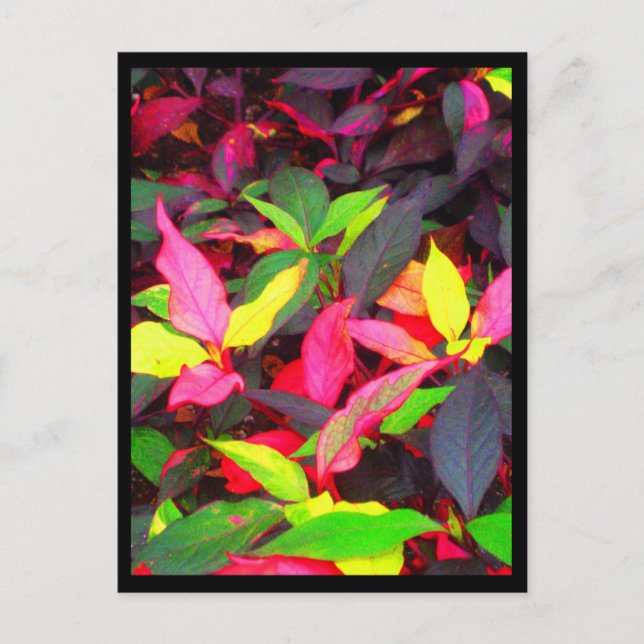 Postkarten-City-Blume-14 Postkarte (Vorderseite)