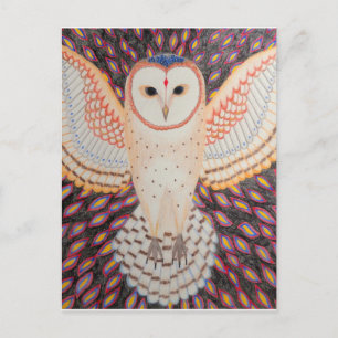 Postkarten Eule