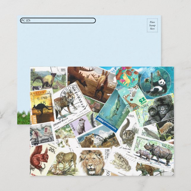Postkarten für das Übersetzen von Briefmarke der T (Vorne/Hinten)