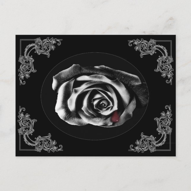 Postkarten für Gothic Vampire Black Rose (Vorderseite)