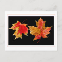 Postkarten für Herbstlaube