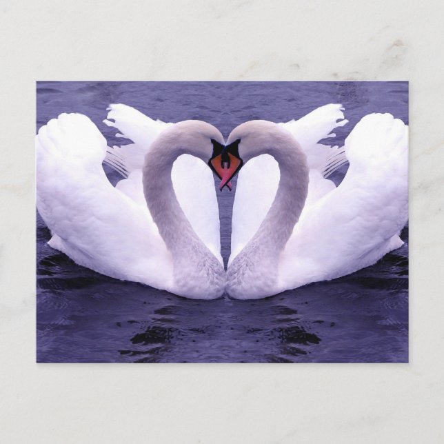 Postkarten für Tiere 30 (Vorderseite)