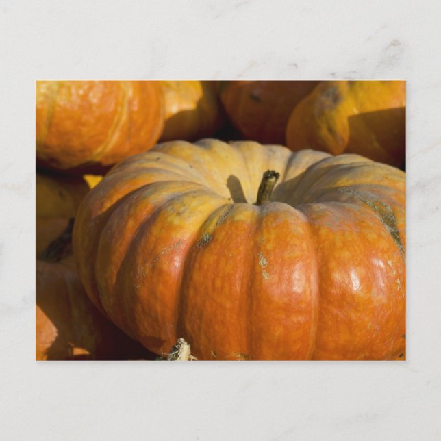 Postkarten:  Great Pumpkin Postkarte (Vorderseite)
