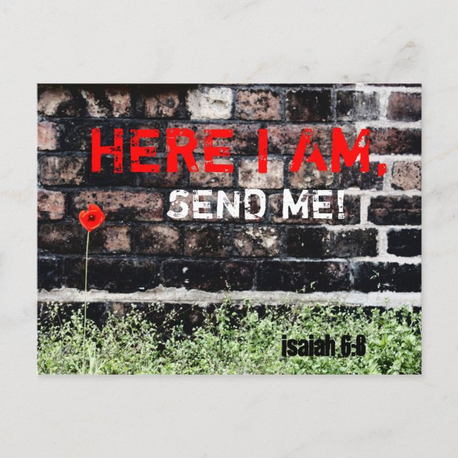 Postkarten; Hier schicke ich mich Postkarte (Vorderseite)