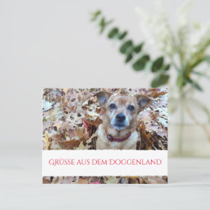 Postkarten-Hunde-Fotografie Postkarte