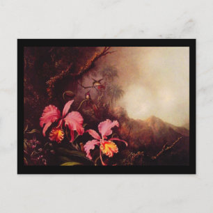 Postkarten-Klassiker/Retro-Martin Johnson Heade 23 Postkarte