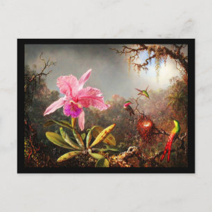 Postkarten-Klassiker/Retro-Martin Johnson Heade 29 Postkarte