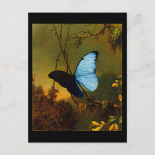 Postkarten-Klassiker/Retro-Martin Johnson Heade 3 Postkarte