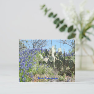 Postkarten-Land Texas Bluebonnets und Kaktus Postkarte