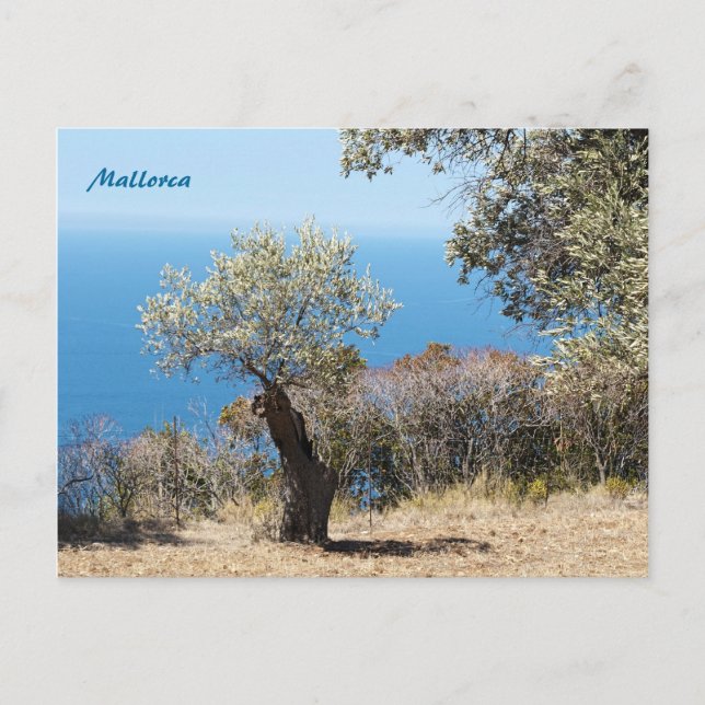 Postkarten Mallorca (Vorderseite)