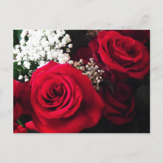 Postkarten Rote Rosen Gipskraut Bouquet Blank PC