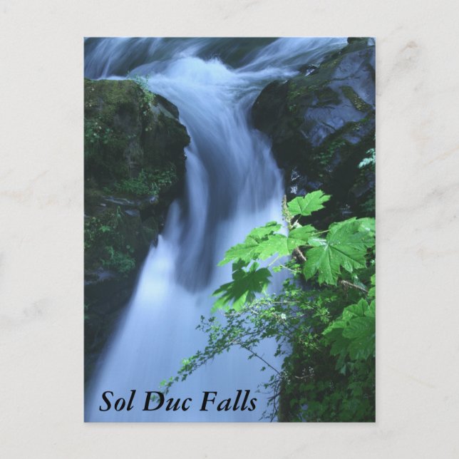 Postkarten: Sol Duc Falls Postkarte (Vorderseite)