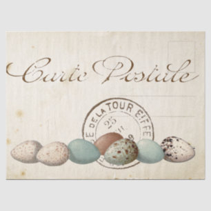 Postkarten-Vogel-Set 1 von 4 (Poststempel Eier) Seidenpapier