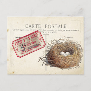 Postkarten-Vogel-Set 4 von 4 (Vogelnest-Ticket) Postkarte