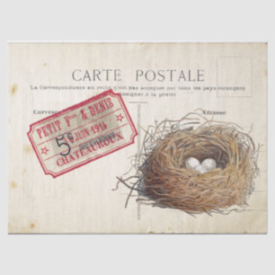 Postkarten-Vogel-Set 4 von 4 (Vogelnest-Ticket) Seidenpapier