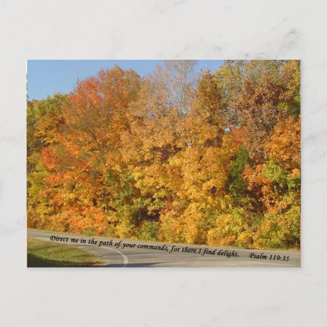 Postkarten: Weg zur Freude Postkarte (Vorderseite)