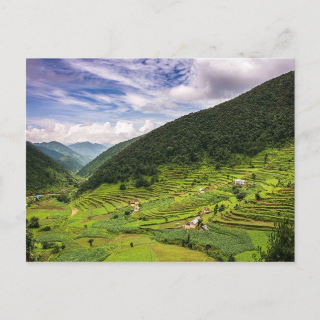 Postkartenfelder in Nepal Postkarte (Vorderseite)