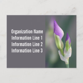 Postkartenkalender 2023 postkarte