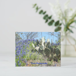 Postkartenland Texas Bluebonnets und Kaktus Postkarte