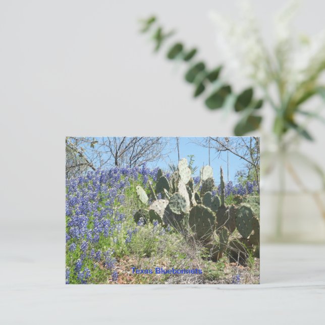 Postkartenland Texas Bluebonnets und Kaktus Postkarte (Stehend Vorderseite)