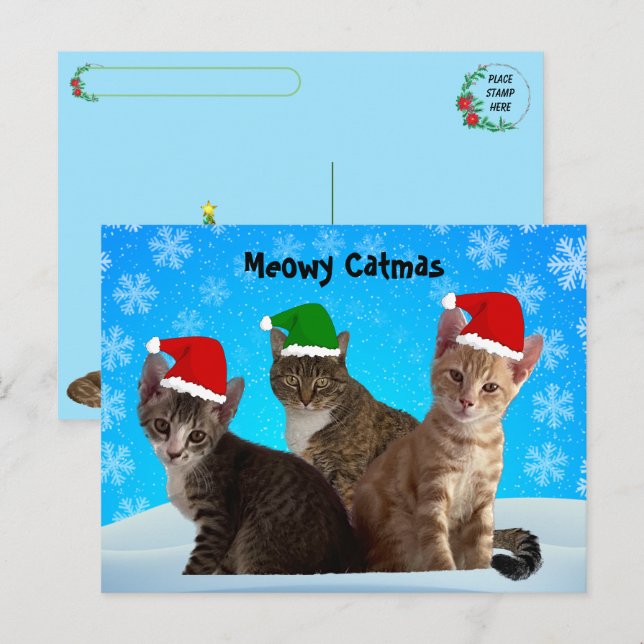 Postkreuzung - Annie, Taz und Tito - Weihnachten d (Vorne/Hinten)