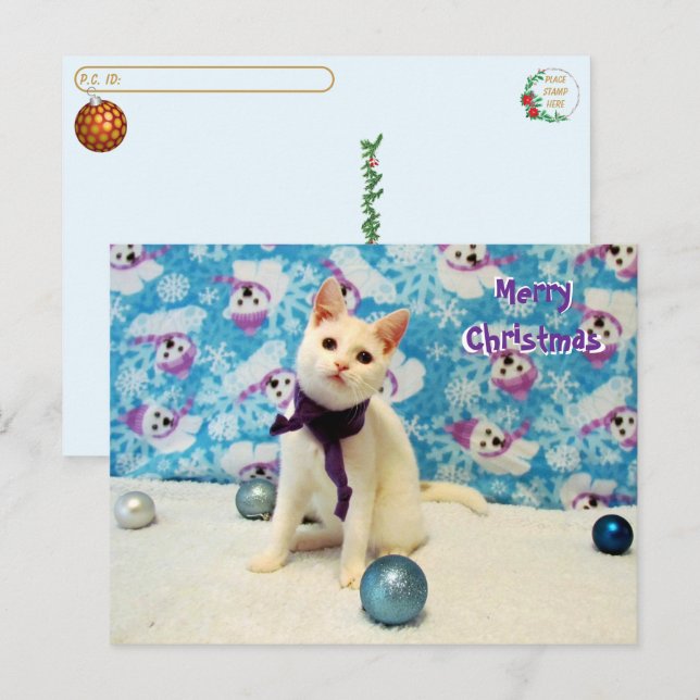 Postkreuzung - Audreys Weihnachten - Katze Postkar Postkarte (Vorne/Hinten)