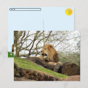 Postkreuzung - Bild von Löwenroaring Postkarte