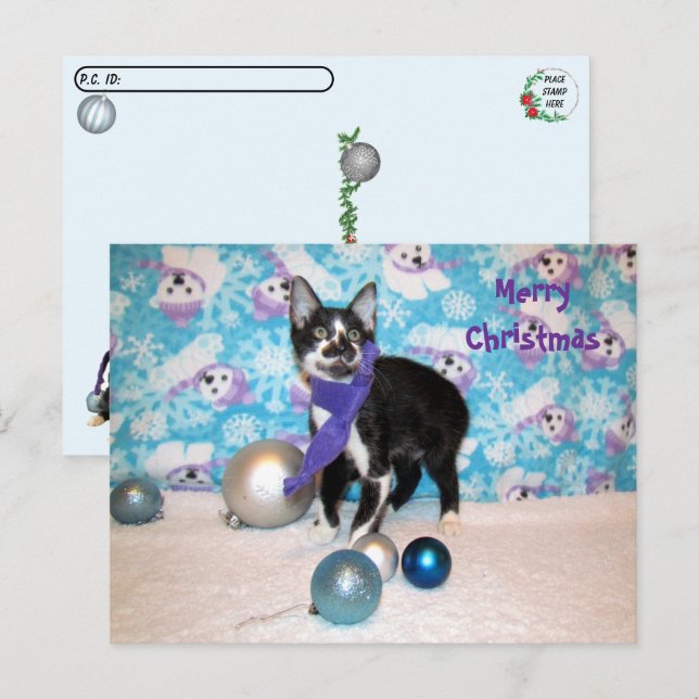 Postkreuzung - Cowboys Weihnachten - Katze Postkar Postkarte (Vorne/Hinten)