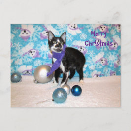 Postkreuzung - Cowboys Weihnachten - Katze Postkar Postkarte