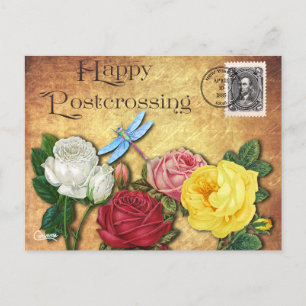 Postkreuzung der Dragonfly - Postkarte