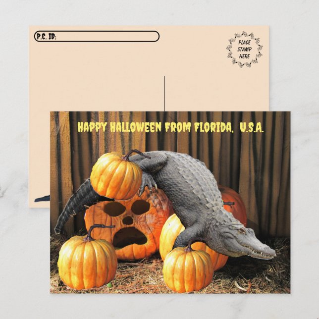 Postkreuzung - Halloween Pumpkins und Gator Postkarte (Vorne/Hinten)