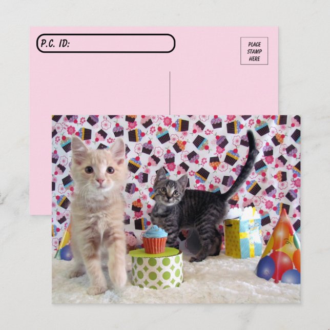 Postkreuzung - Happy Birthday Cats Postkarte (Vorne/Hinten)