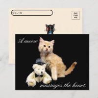 Postkreuzung - Katzenbild - Sundrop und Teddy Bear
