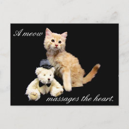 Postkreuzung - Katzenbild - Sundrop und Teddy Bear Postkarte