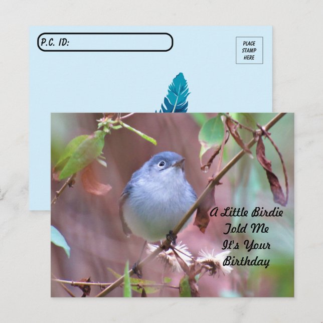 Postkreuzung Little Birdie Birthday Postcard Postkarte (Vorne/Hinten)