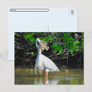 Postkreuzung - Mittag des Großen Blauen Helden Postkarte