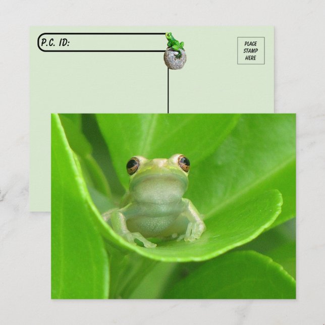 Postkreuzung = Niedlicher Baum-Frosch Postkarte (Vorne/Hinten)