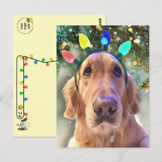 Postkreuzung - Nova Golden Retriever's Christmas Postkarte (Vorne/Hinten)