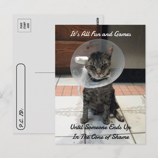 Postkreuzung - Oliver, der Katze, der Scham Postkarte (Vorne/Hinten)