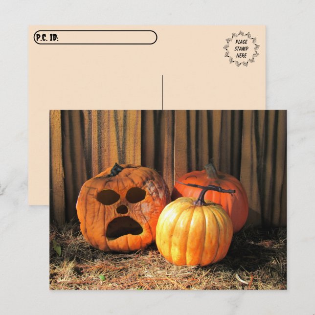 Postkreuzung - Rotten Pumpkins Halloween Postcard Postkarte (Vorne/Hinten)