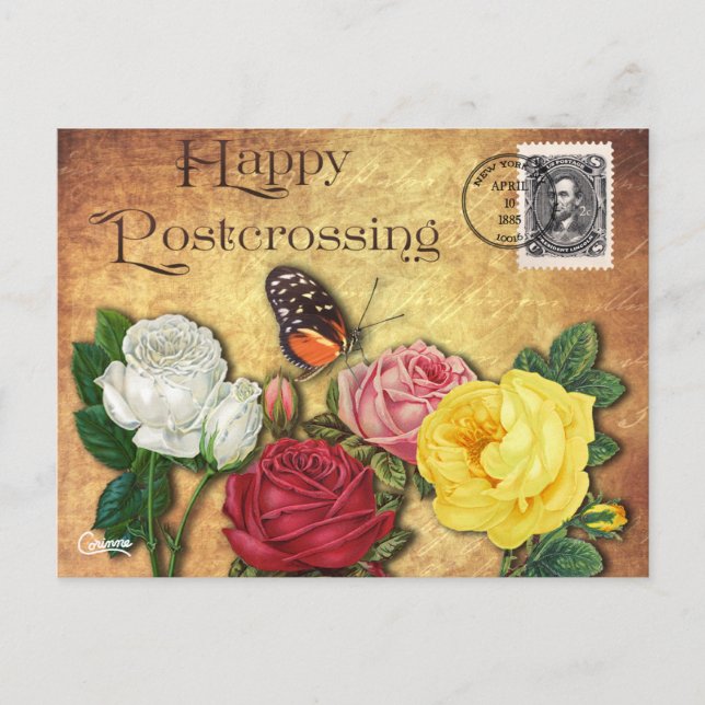 Postkreuzung Schmetterling - Postkarte (Vorderseite)