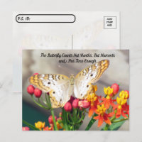 Postkreuzung - Weißer Pfauenschmetterling-Zitat