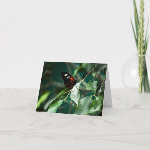 Postman 184 Card Karte