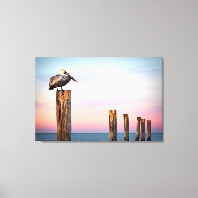 Posts & a Pelican | Fort Myers Beach, Florida Leinwanddruck (Vorderseite)