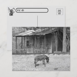 Postübergang Kabine und Donkey im B&W Postkarte