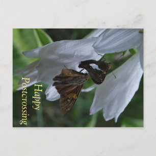 Postübergang Postkarte