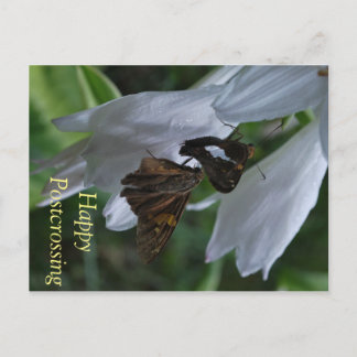 Postübergang Postkarte