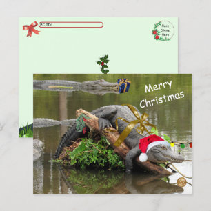 Postüberqueren der amerikanischen Alligator Weihna Postkarte