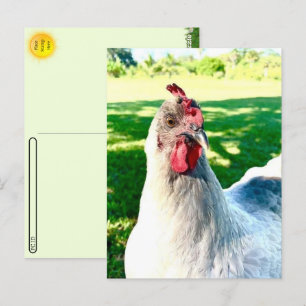 Postüberqueren der Hühnerpostkarte - Bauernleben Postkarte